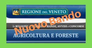 Bando regione Veneto